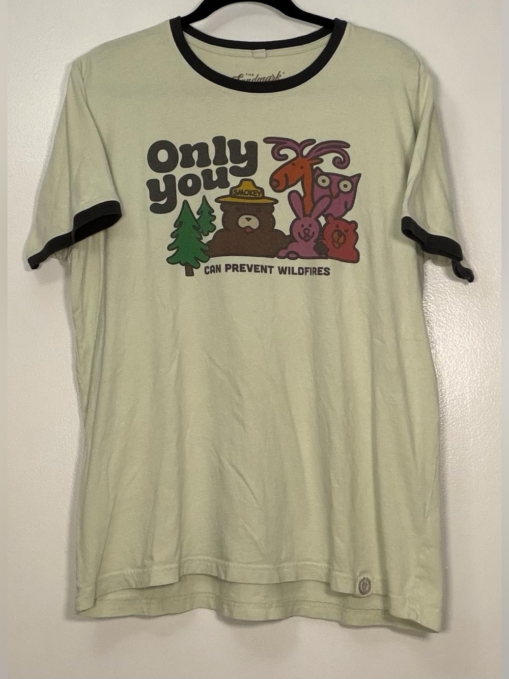 'Only You Can Prevent Forest Wildfires' Unisex Ringer Tee Light Green